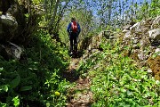 Sul CORNO ZUCCONE, guardiano della Val Taleggio, il 27 aprile 2016 - FOTOGALLERY